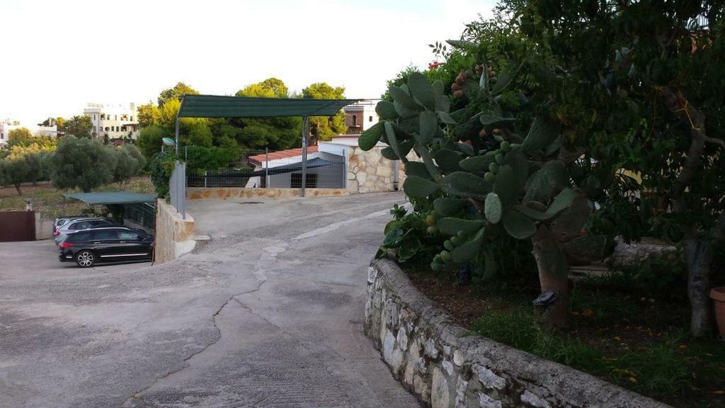 Villa Lucrezia Trilo Vieste Eksteriør billede